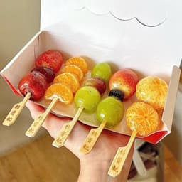 Mini Tanghulu Set 迷你糖葫芦套装·(6 Sticks支)