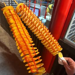 Twister Potato旋风土豆