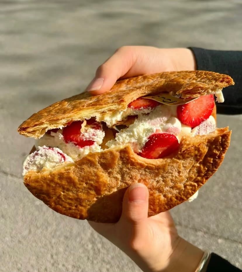 NAPOLEON DISC 唱片拿破仑